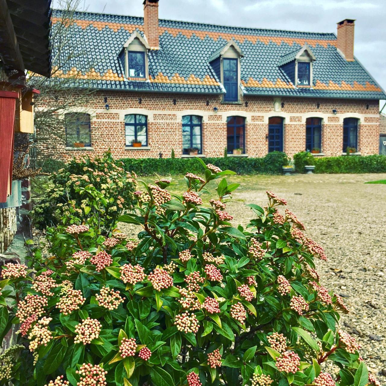 Paardenhof Guesthouse Esquelbecq Eksteriør bilde